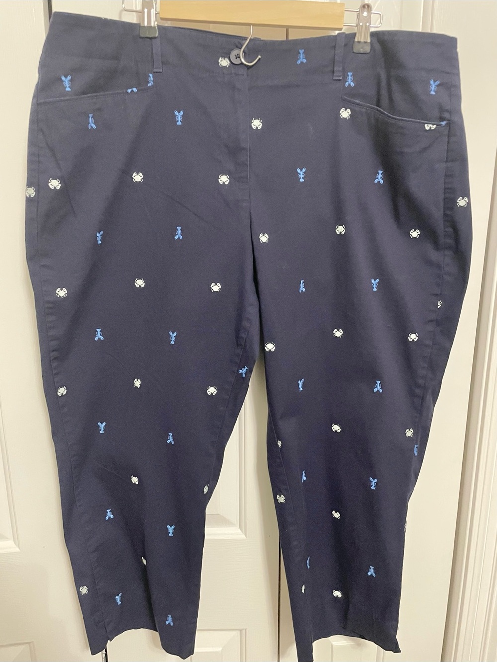 Talbots Navy Pants with Light Blue and White Embroidery